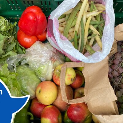 Umschau_12_TdW_Collage