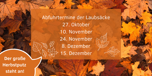 Bild vergr&ouml;&szlig;ern: Umschau_42_TdW_Herbstputz
